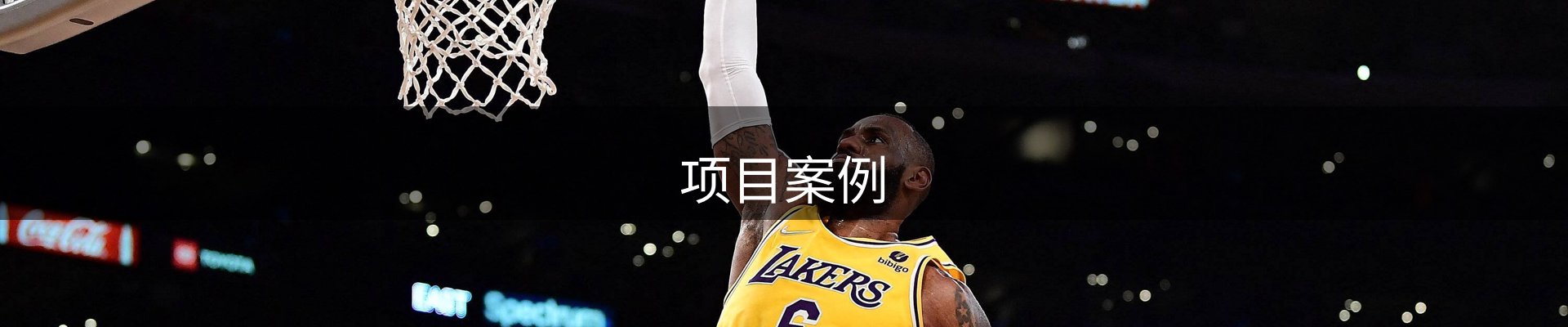 项目案例